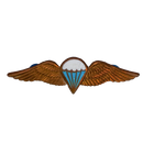 South African Defence Force Basic Parachute Qualification Wing Badge, Item 2 - South African Army Surplus - Flags, Badges & Insignia