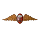 South African Defence Force Parachute Freefall Instructor Bronze Badge