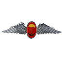 South African Defence Force Parachute Freefall Instructor Silver Badge