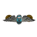 South African Defence Force Parachute Instructor Mess Dress Silver Badge