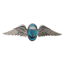 South African Defence Force Parachute Instructor Qualification Wing Badge
