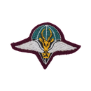 South African Defence Force (SADF) 1 Parachute Battalion Cloth Beret Badge