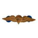 South African Parachutist Badge - South African Army Surplus - Flags, Badges & Insignia