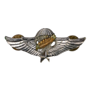 South Vietnam Master Parachutist Badge