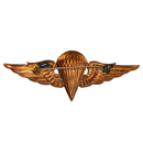 Syrian Arab Army Basic Parachutist Badge