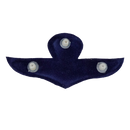 Thai Army Free Fall Wings Badge