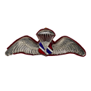 Thai Border Patrol Police Basic Parachute Wings Badge - Army & Outdoors - Flags, Badges & Insignia
