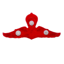 Thailand Army Senior Parachute Wings Badge