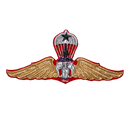 Thailand Army Senior Parachute Wings Badge