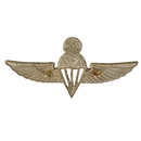 Uganda Army Basic Parachutist Wings Badge, Item 2