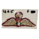 United Arab Emirates Paratrooper Patch - Army & Outdoors - Flags, Badges & Insignia