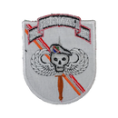US Army 75th Ranger Regiment Skull & Wings Patch
