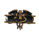 US Army Expert Field Medical Badge Badge