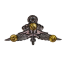 US Army Freefall Jump Wings Badge, Item 1