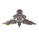 US Army Freefall Jump Wings Badge, Item 1