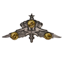 US Army Freefall Jump Wings Badge, Item 2