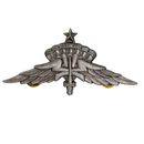 US Army Freefall Jump Wings Badge, Item 2