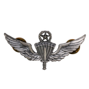 US Army Prototype Master Free Fall Parachutist Wings - US Army Surplus - Flags, Badges & Insignia