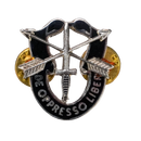 US Army Special Forces ("Green Berets") 1st Regiment Badge - US Army Surplus - Flags, Badges & Insignia