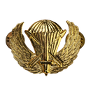US Army Special Forces Prototype Parachutist Wing Badge - US Army Surplus - Flags, Badges & Insignia