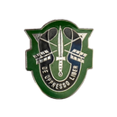 US Army Special Forces Unit Crest Pin - US Army Surplus - Flags, Badges & Insignia