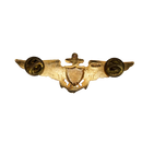 US Navy Naval Aviator Pilot Wings Badge