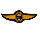West German Bundesmarine Class III Paratrooper Qualification Wings, Item 2