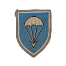 West German Bundeswehr 1st Airborne Division Patch