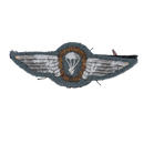 West German Gold Parachute Wings Patch