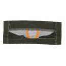 West German Gold Parachute Wings Patch, Item 2